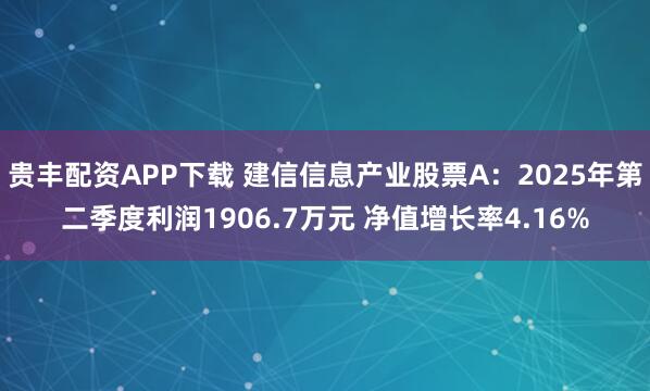 贵丰配资APP下载 建信信息产业股票A：2025年第二季度利润1906.7万元 净值增长率4.16%