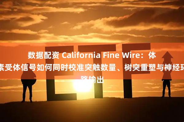 数据配资 California Fine Wire：体内胰岛素受体信号如何同时校准突触数量、树突重塑与神经环路输出